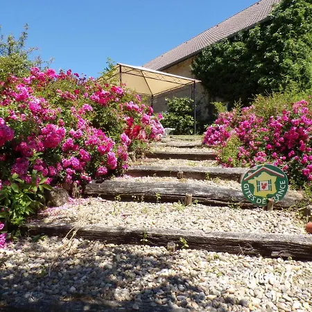 De Charme Au Coeur Du Bocage Bourbonnais, Avec Activites Variees Et Confort Familial - Fr-1-489-225